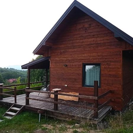Marzeniec W Beskidzie Niskim Wapienne Exterior foto